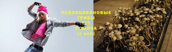 крисы Верхнеуральск